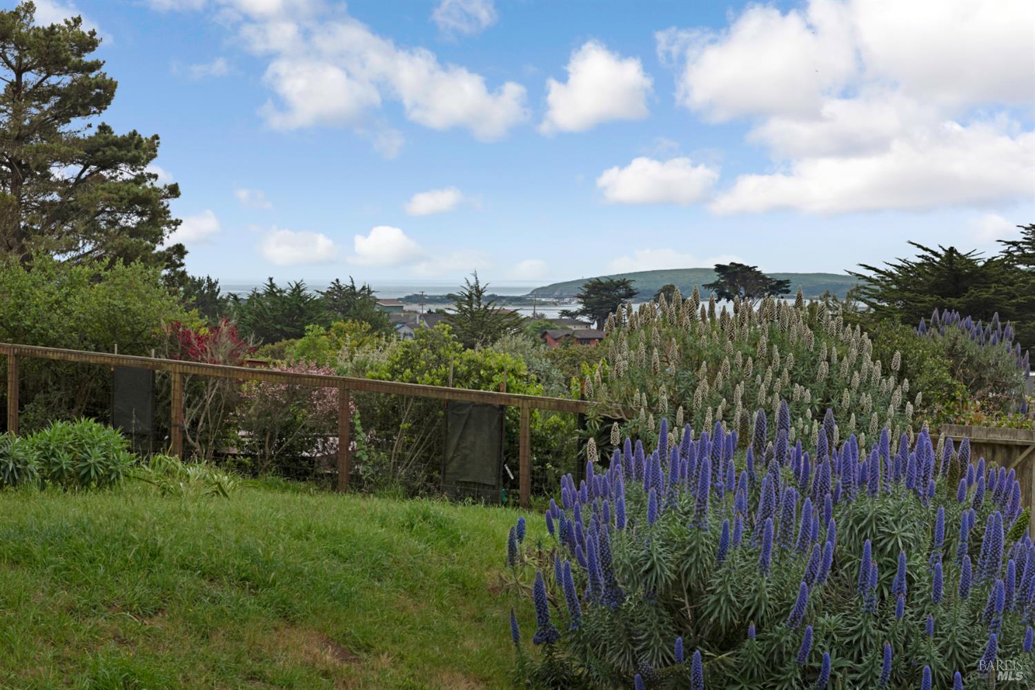 1534 Highway 1