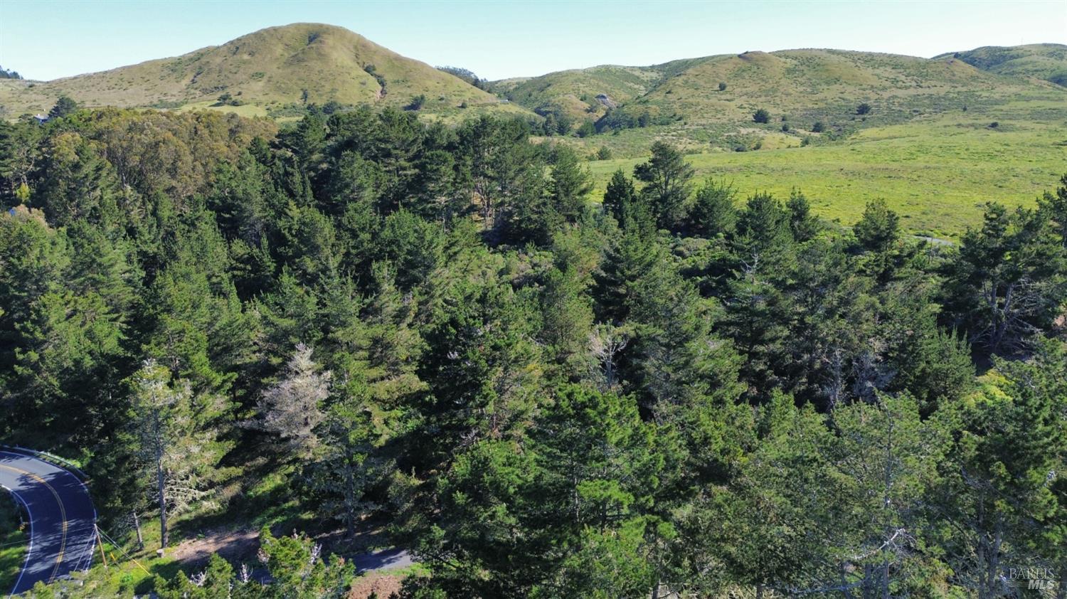 1534 Highway 1