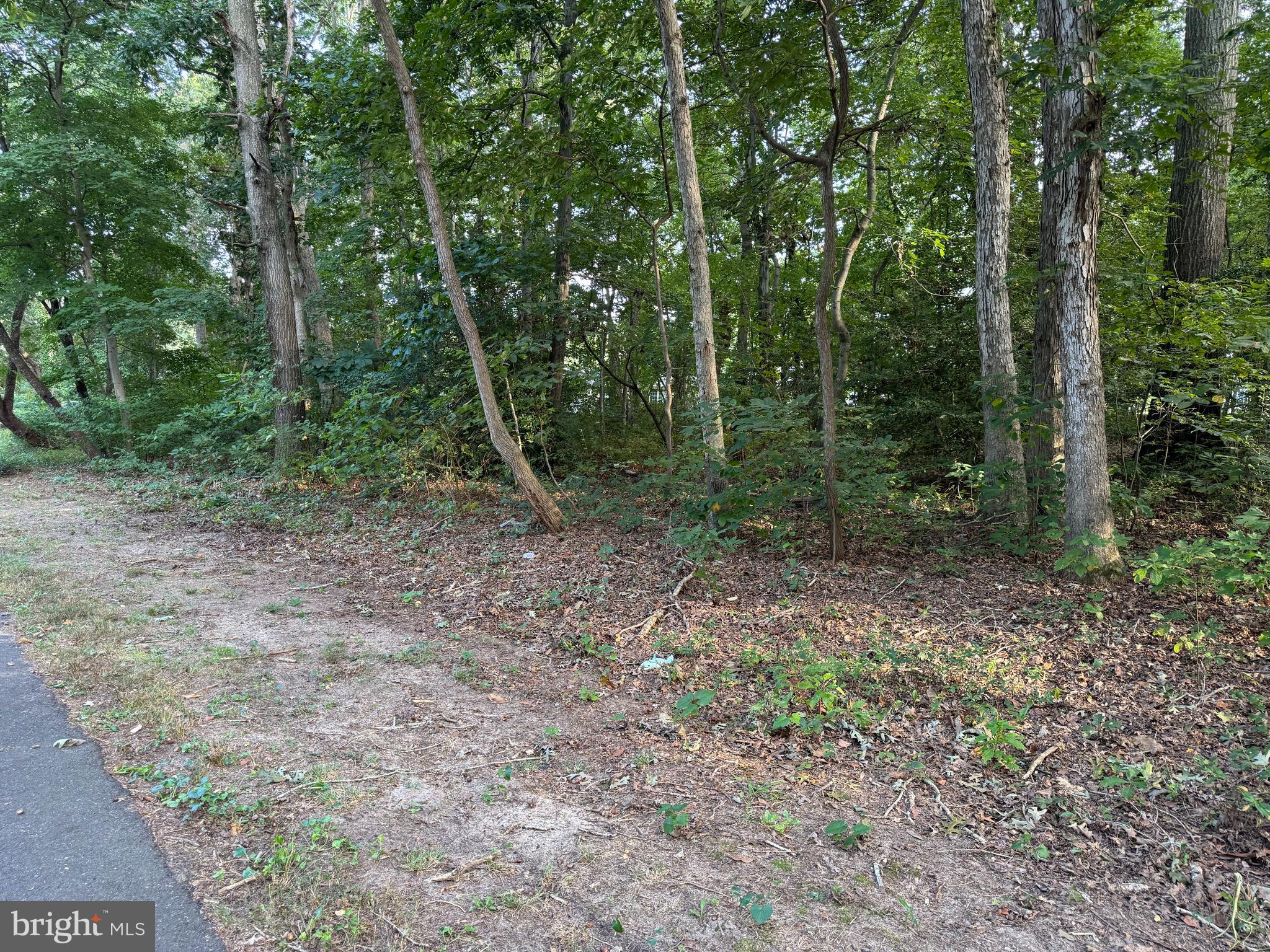 904 POPLAR STREET
