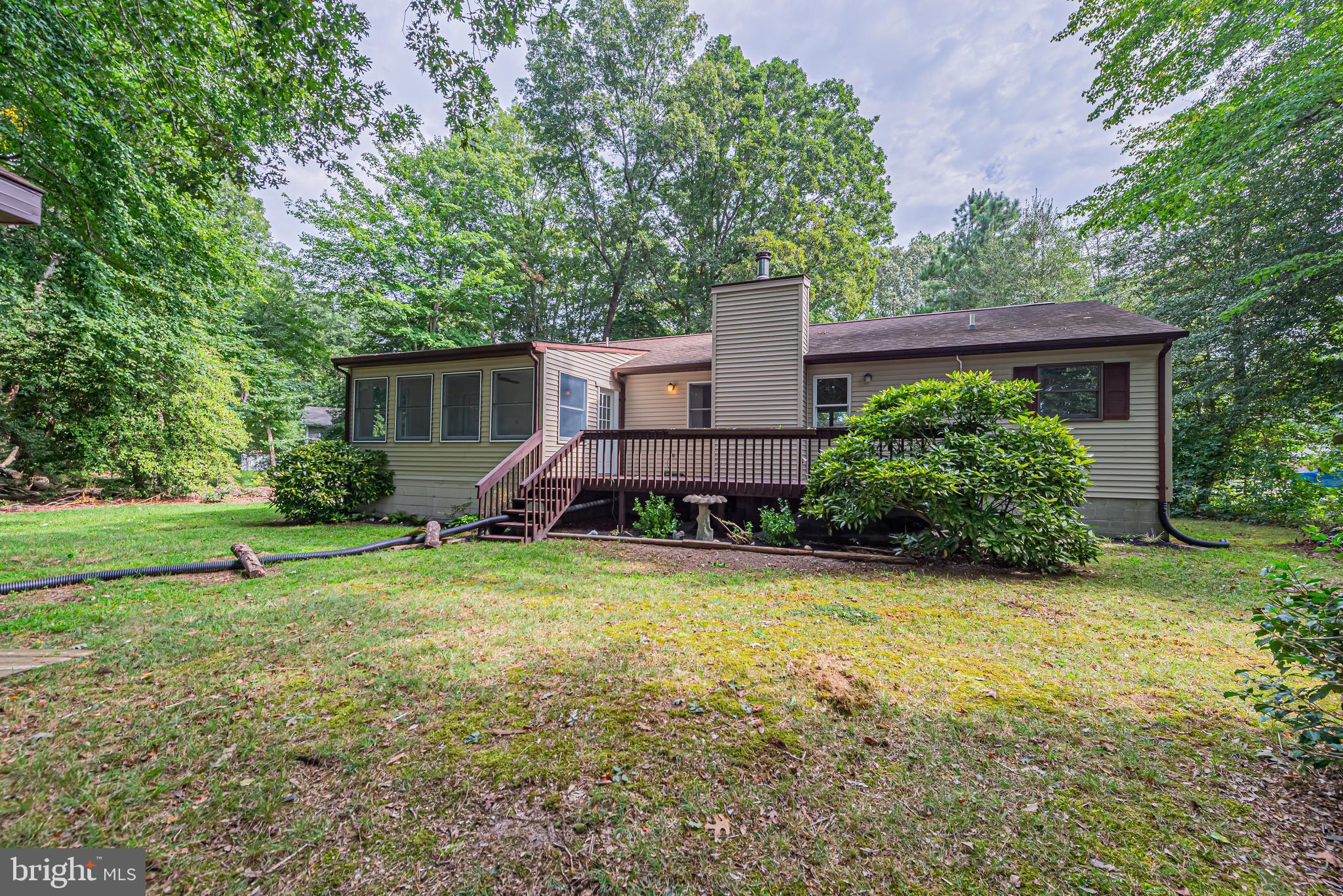 House rear with screened sunroom and raised deck, surrounded by mature trees and shrubs.