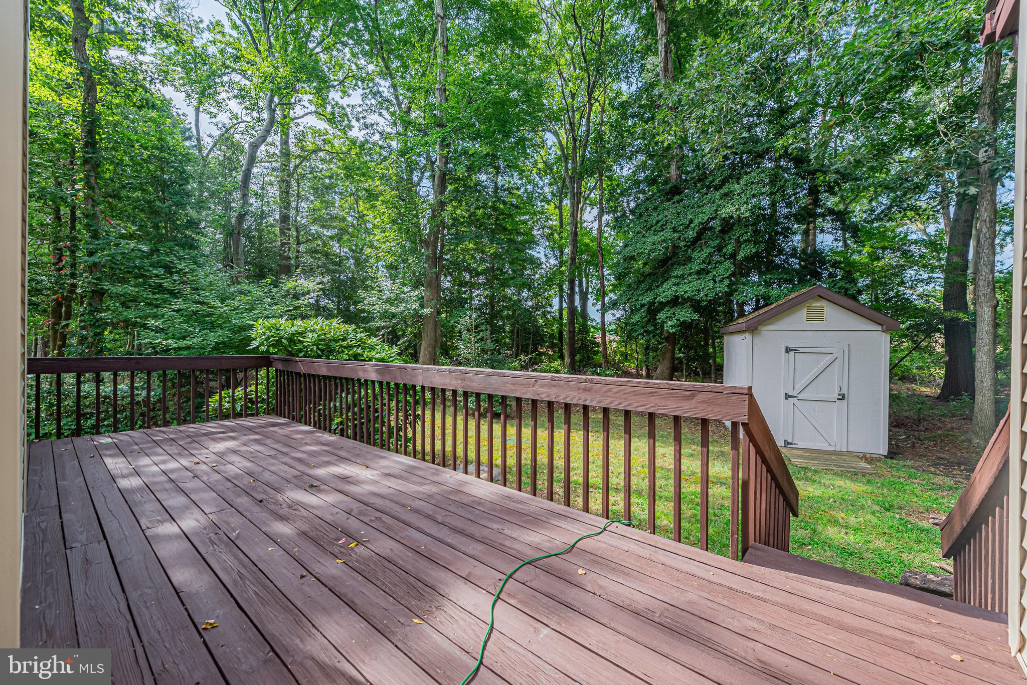 Wooden deck overlooking a wooded backyard with a white storage shed.