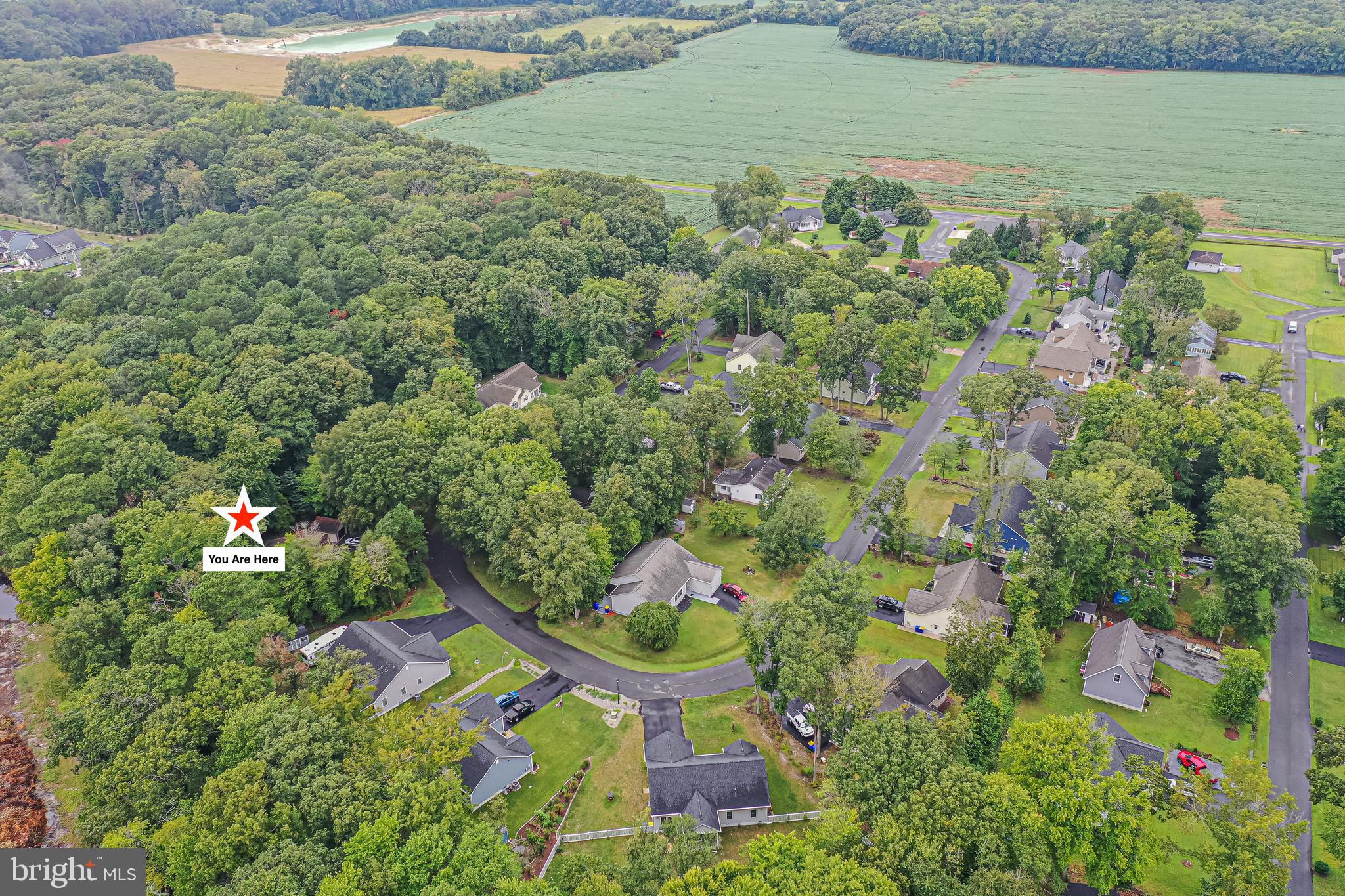 Aerial neighborhood view with a star marking the property beside dense woods and a curving road.