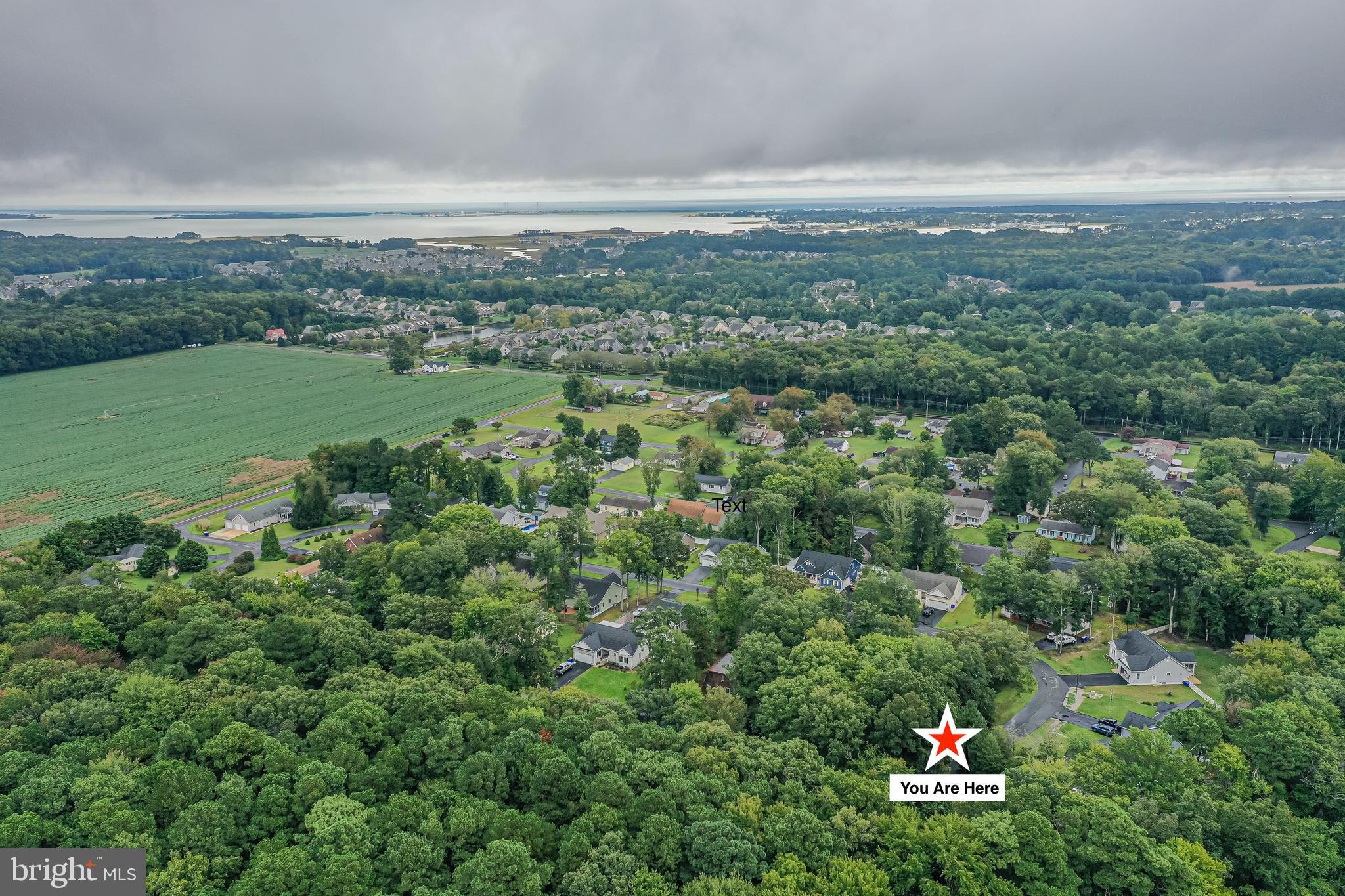 Aerial neighborhood view with a location marker, wooded surroundings, and water in the distance.