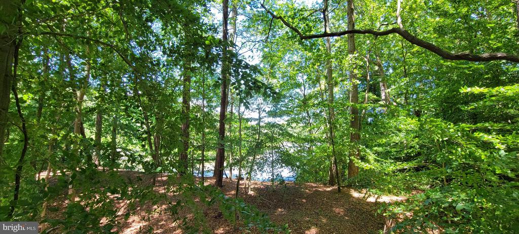 29348 River Rock Ct