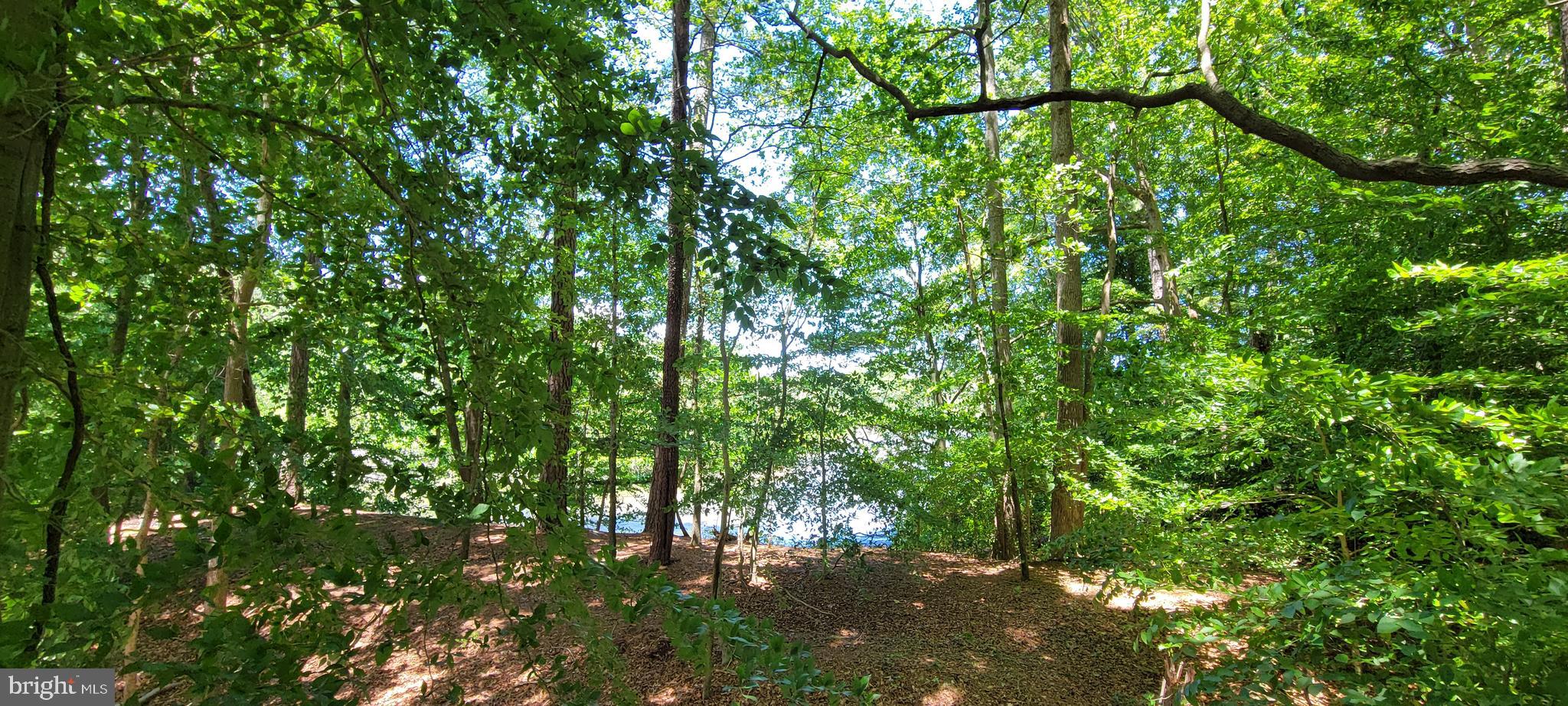 29348 River Rock Ct