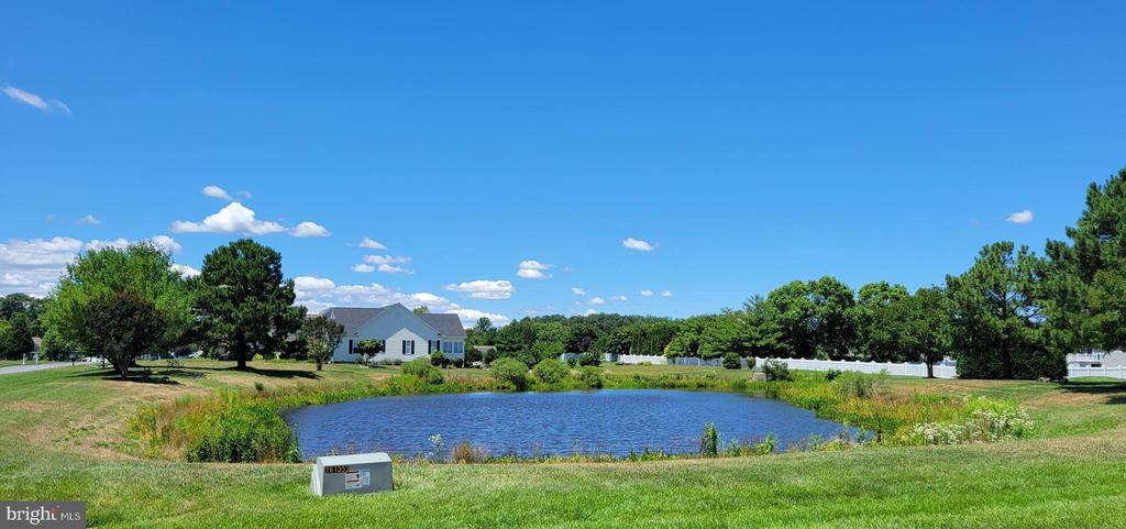 29348 River Rock Ct