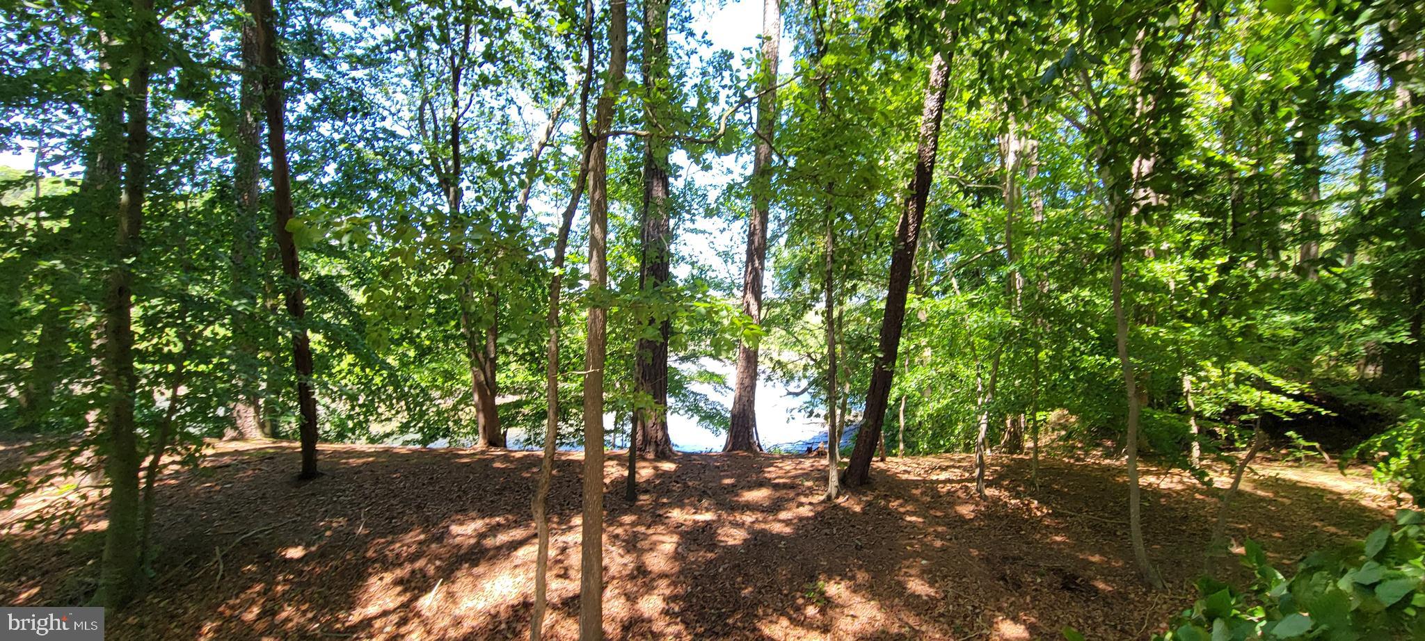 29348 River Rock Ct