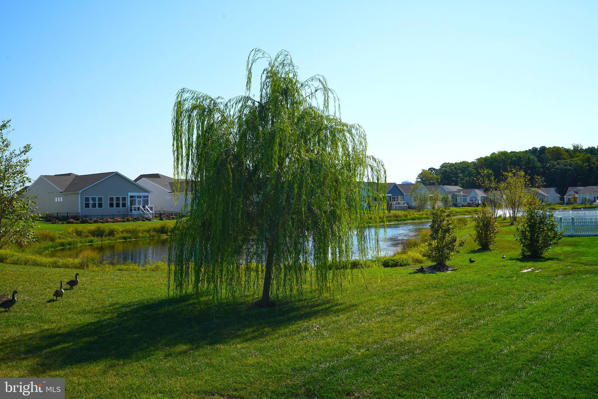 23014 Bourbon Cir