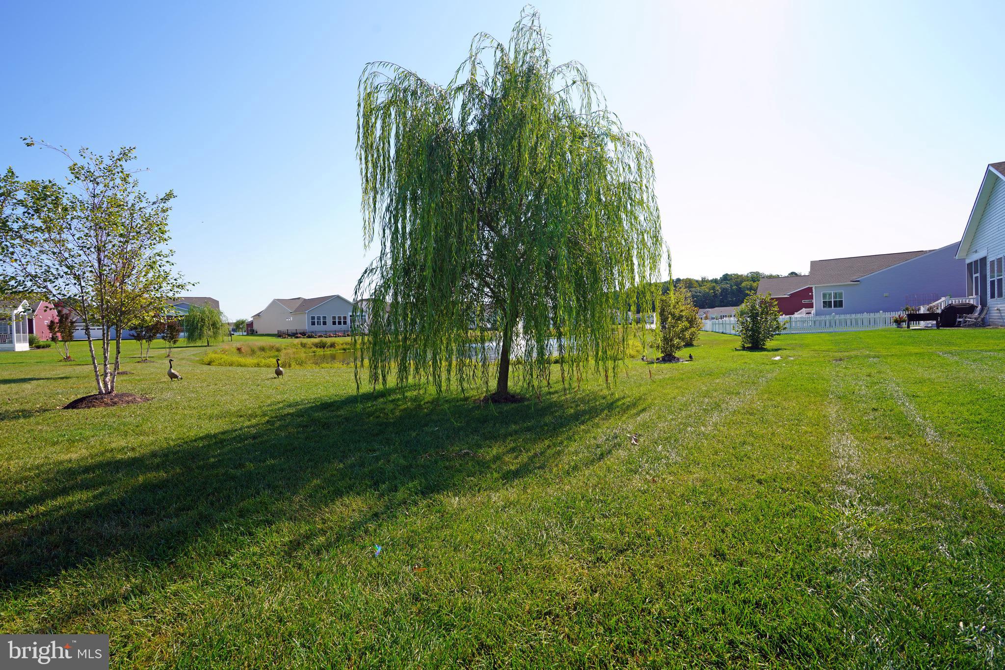 23014 Bourbon Cir