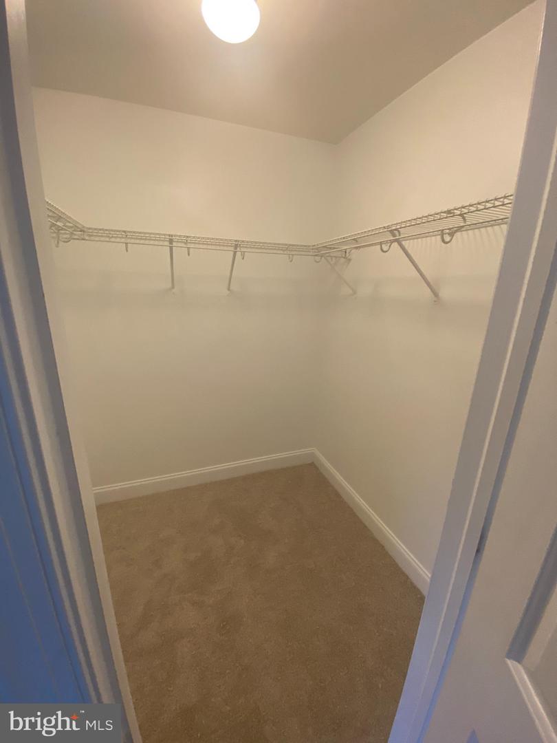 Walk-in closet with beige carpet and wraparound wire shelving.