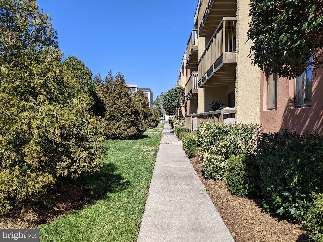 14007 Sand Dune ROAD Unit: 5A