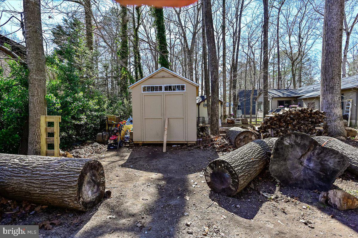 Beige storage shed in a wooded yard, surrounded by cut logs and stacked firewood.