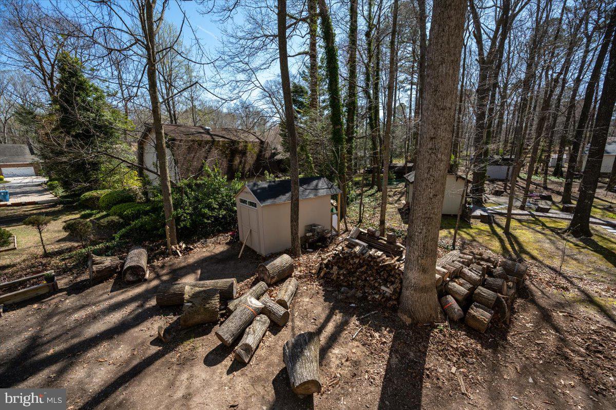 Wooded backyard with a storage shed and stacks of firewood and cut logs.