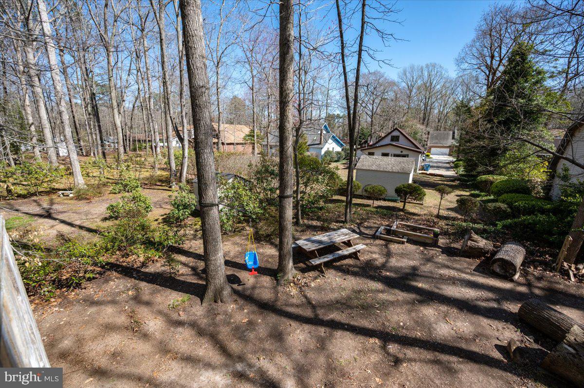 Wooded backyard with mature trees, a hanging swing, and a wooden bench.