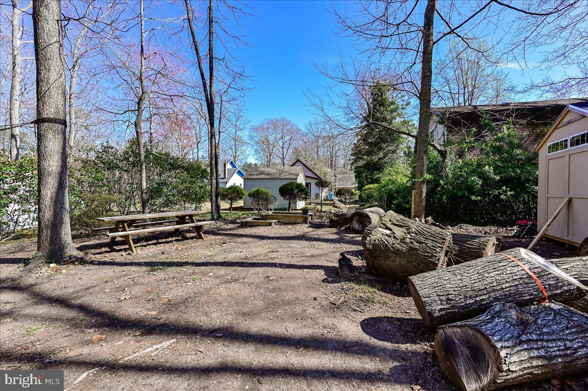 Wooded backyard with a picnic table, fire pit, cut logs, and a shed.