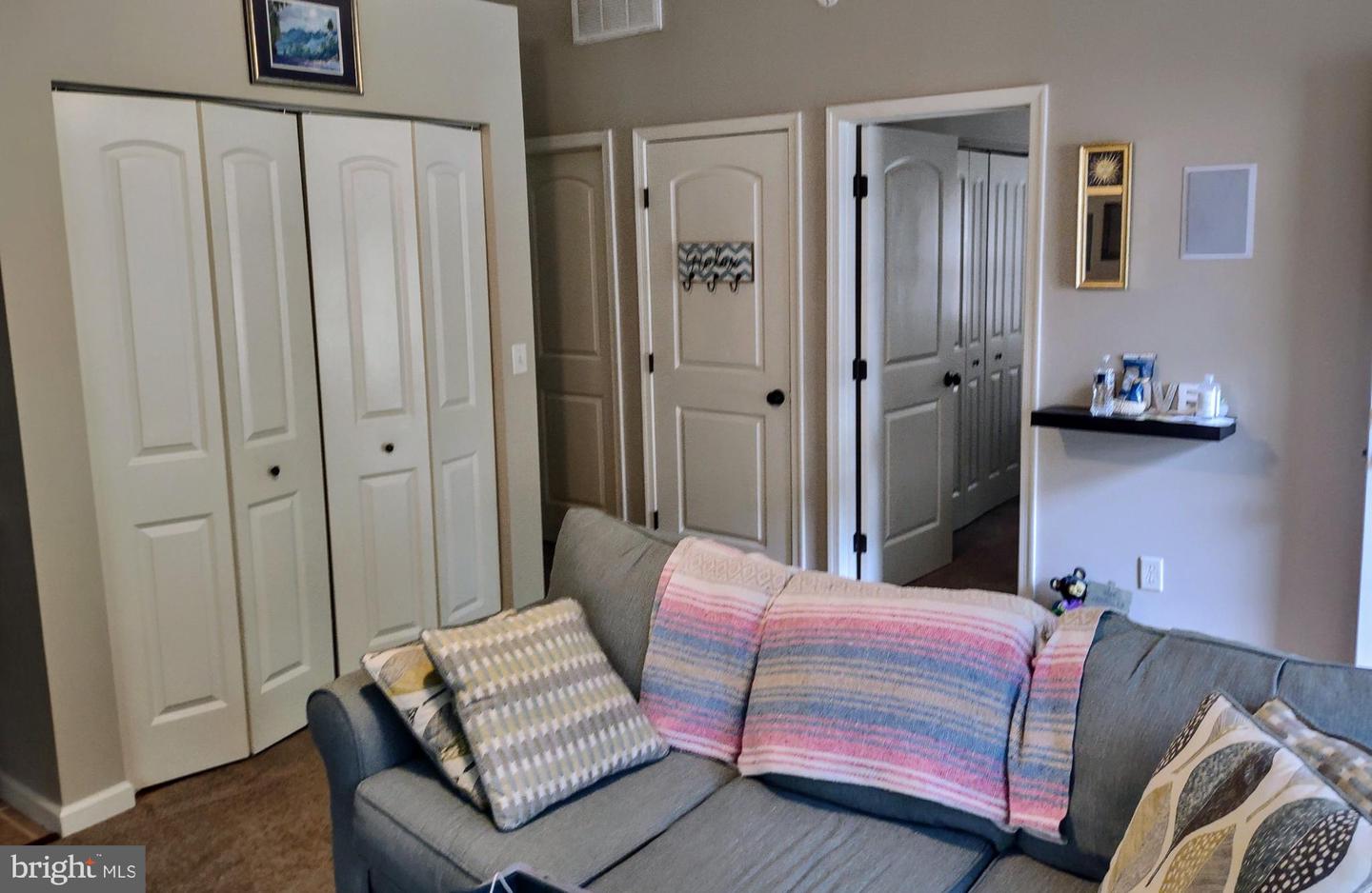 Living room with a gray sectional, striped throws, and white paneled doors.