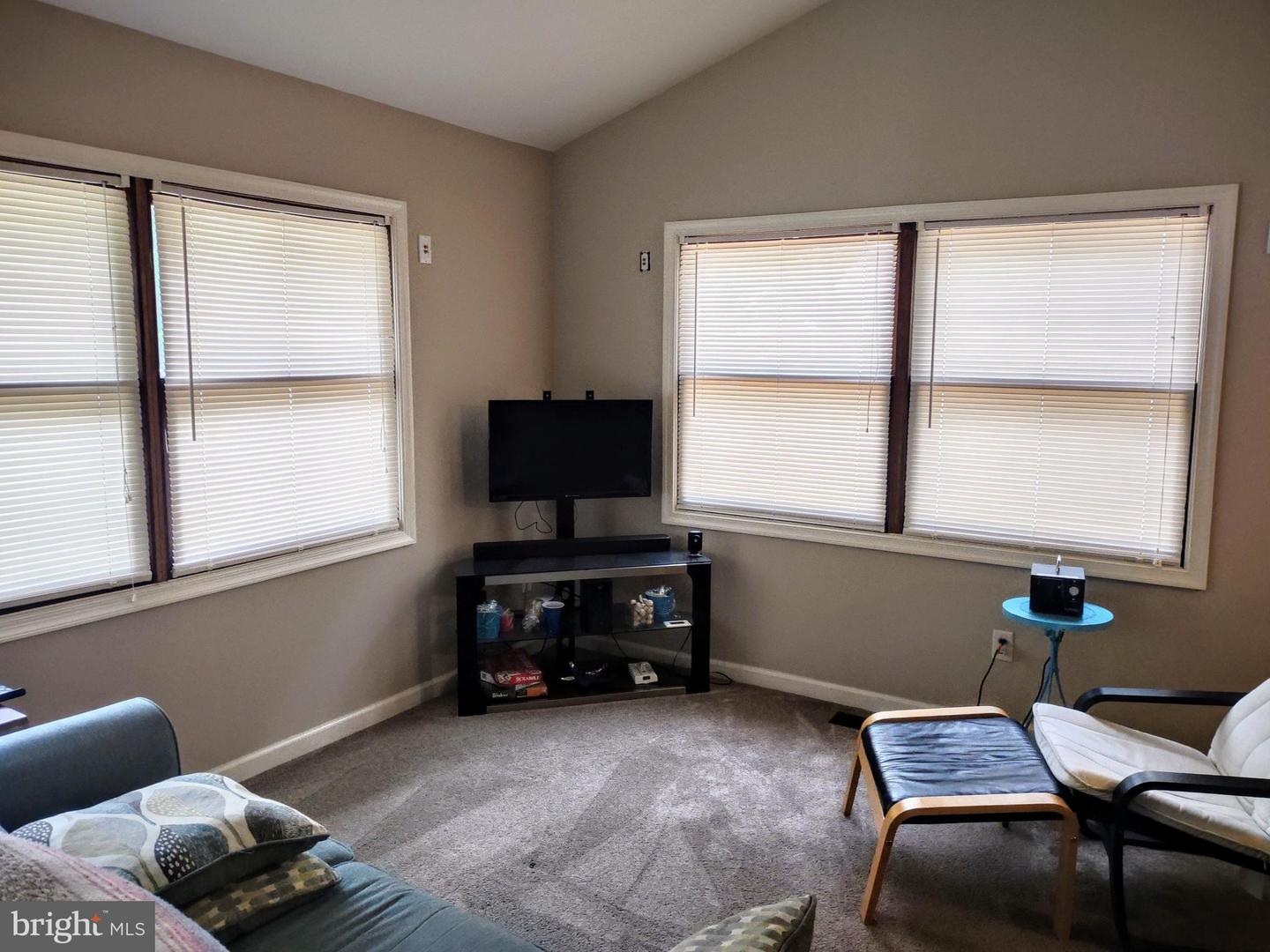 Living room with carpet, two windows with blinds, and a wall-mounted television.