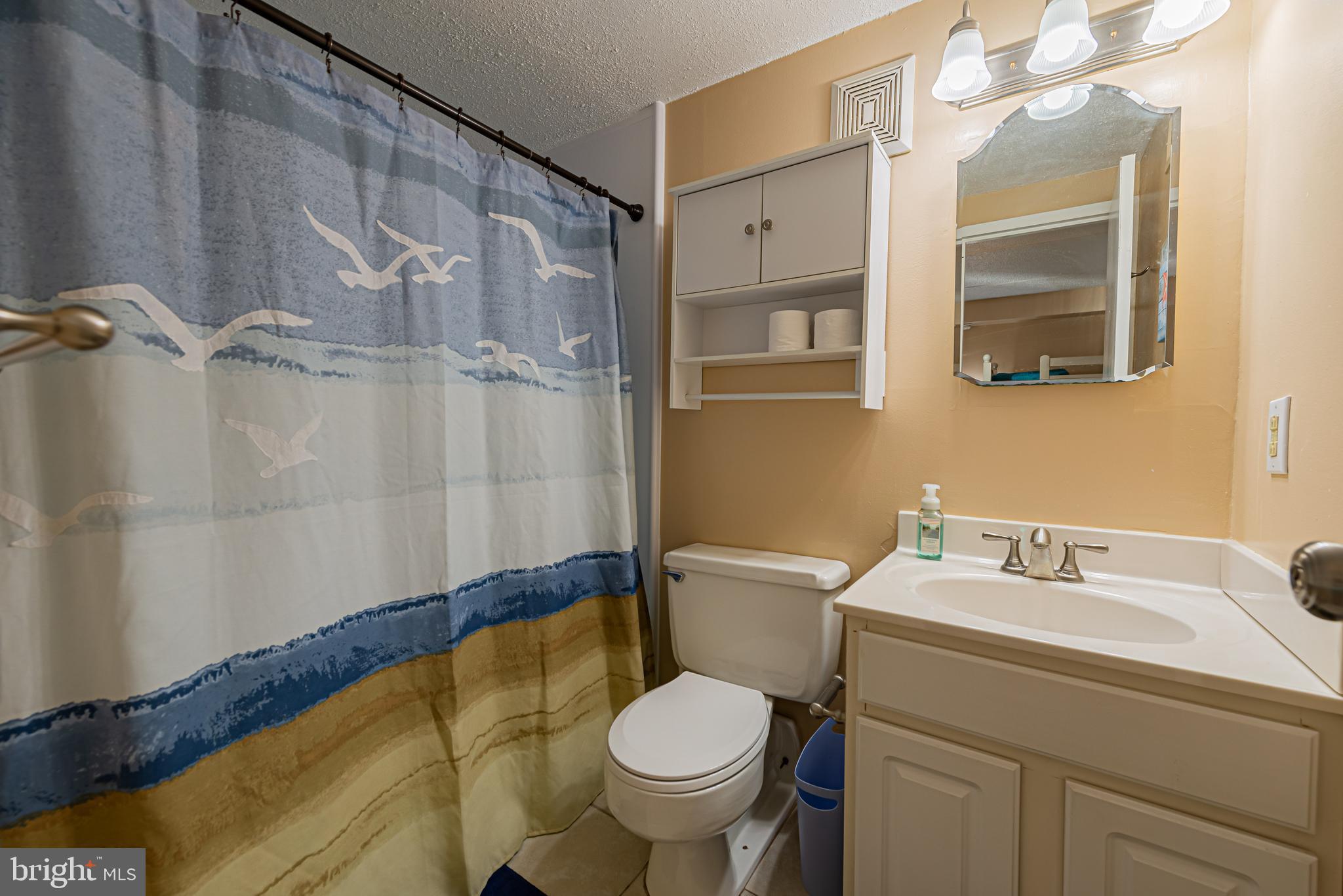 Bathroom with a bird-patterned shower curtain, white vanity, and mirrored medicine cabinet.
