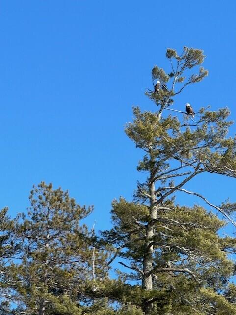 3 Panther Pond Pines Road