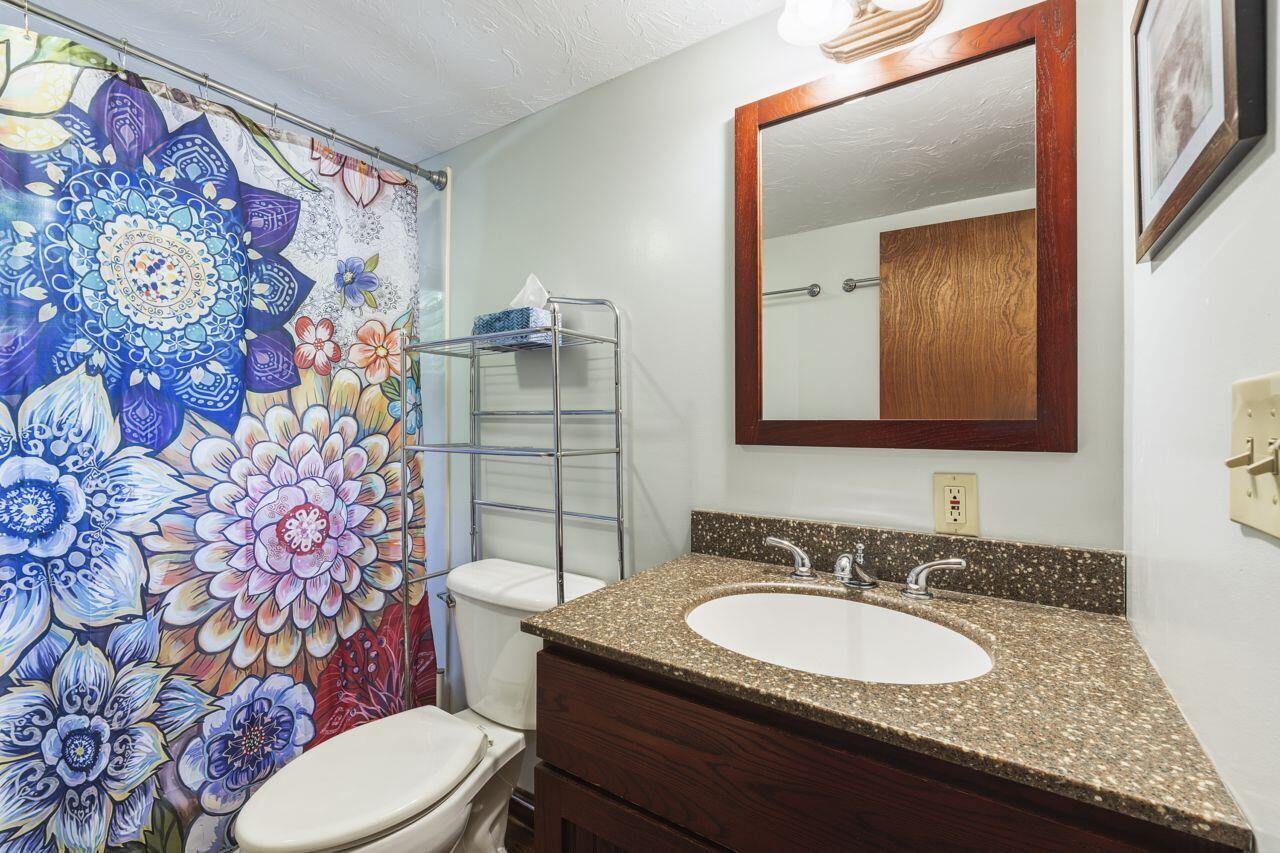 Bathroom with a vivid floral shower curtain and granite vanity countertop.