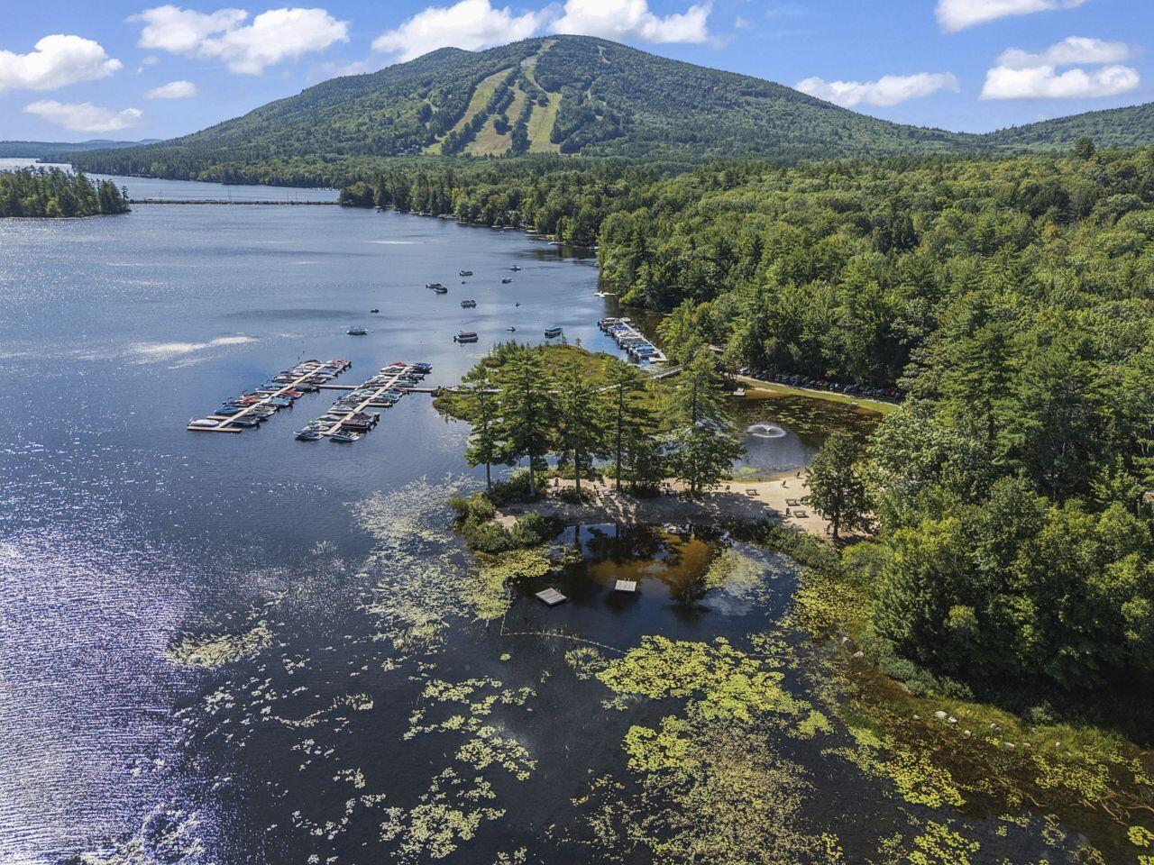 Aerial view of a lake marina, forested shoreline, and mountain with ski trails.