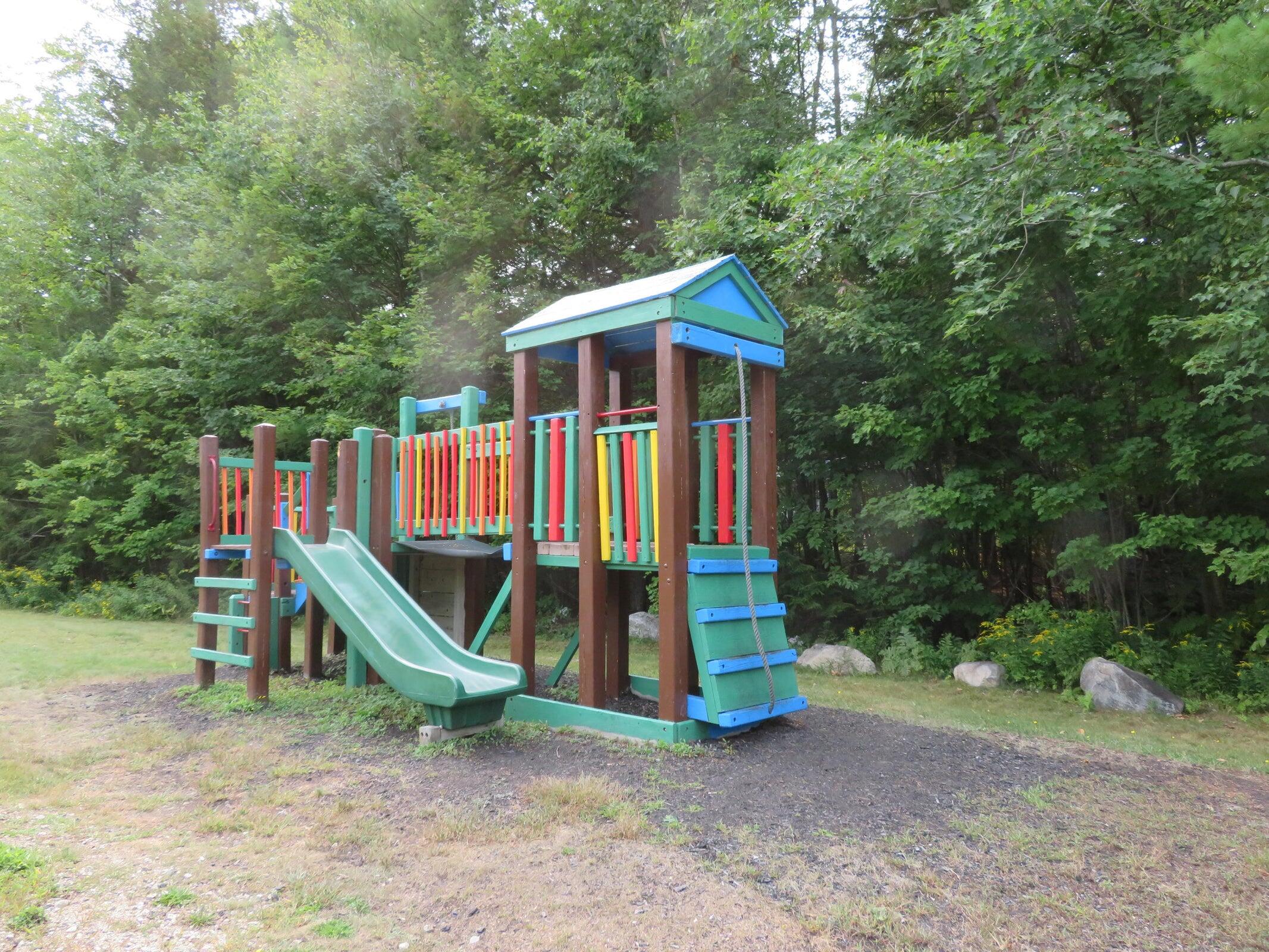 Backyard playset with a green slide, climbing wall, and rope in a wooded clearing.
