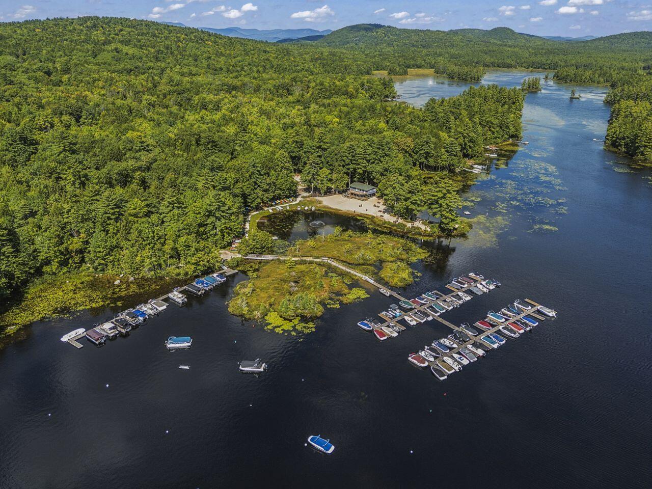 Aerial view of a wooded lake marina with rows of boats and forested hills beyond.