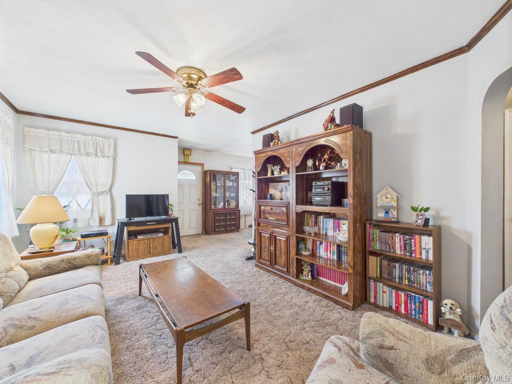 81 Cedarlawn Boulevard