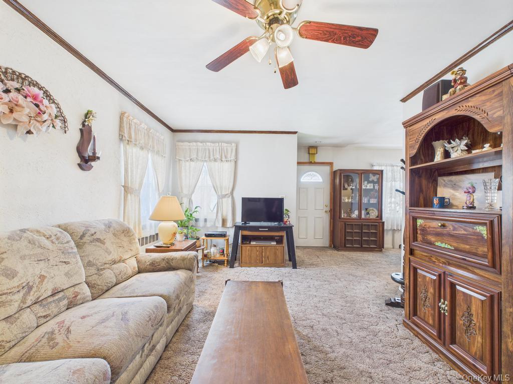 81 Cedarlawn Boulevard