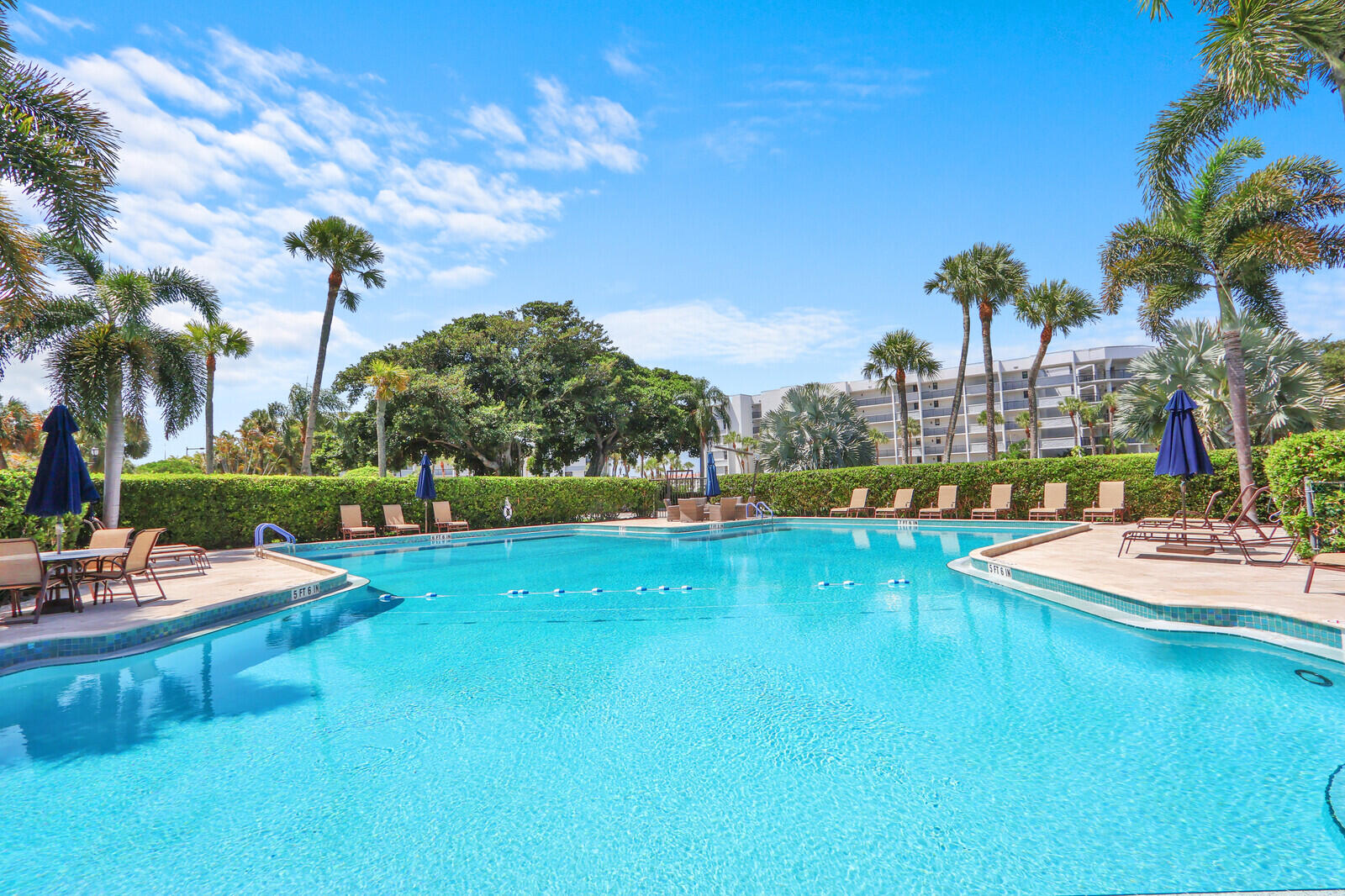 1648 Jupiter Cove Drive Unit: 214