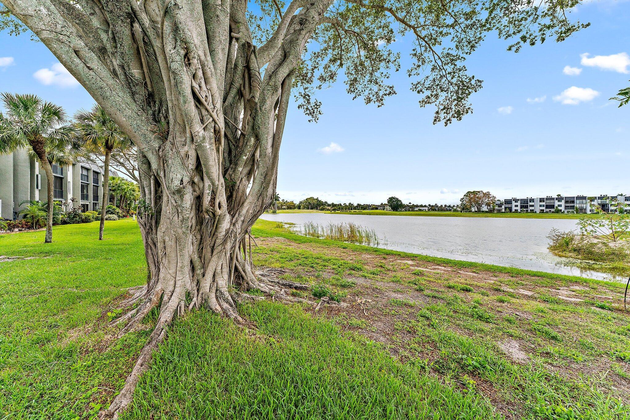 4838 Esedra Court Unit: 306