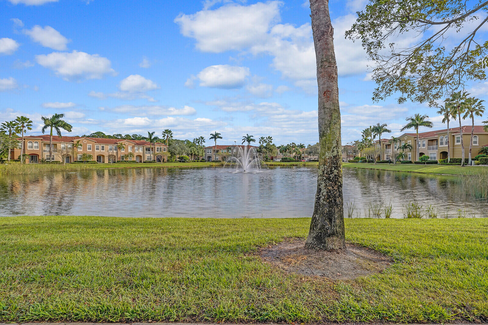 4890 Bonsai Circle Unit: 200