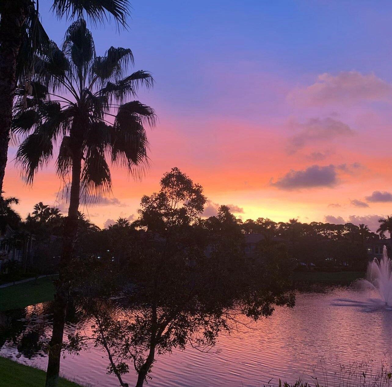 4890 Bonsai Circle Unit: 200