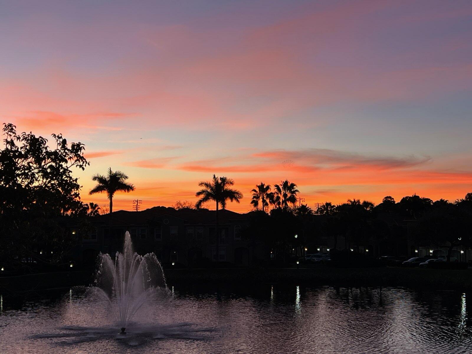 4890 Bonsai Circle Unit: 200