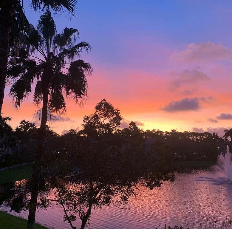 4890 Bonsai Circle Unit: 200