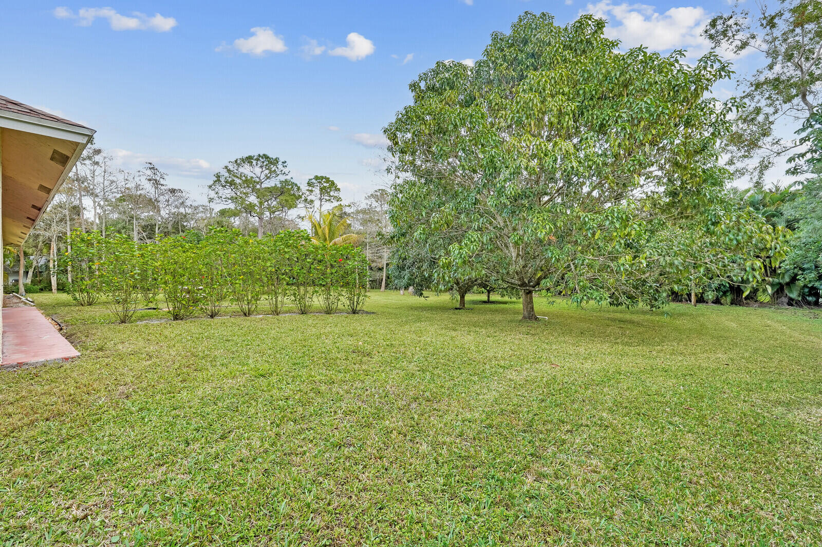 15728 81st Terrace N