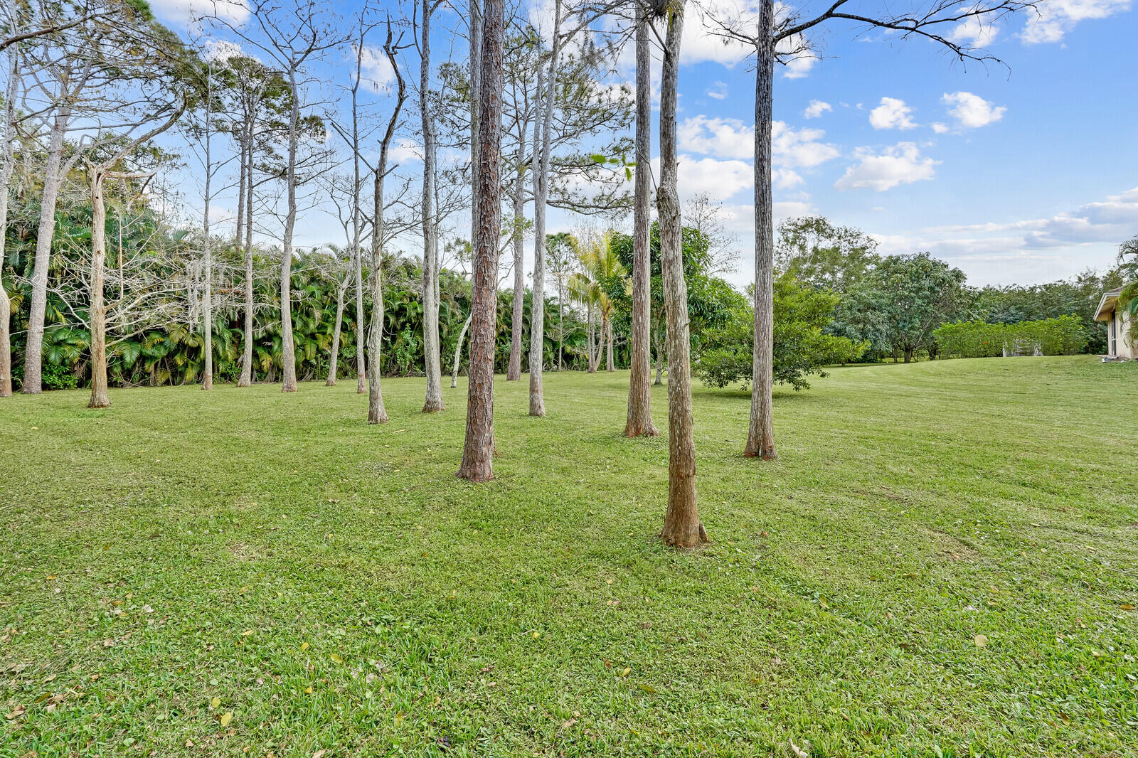 15728 81st Terrace N