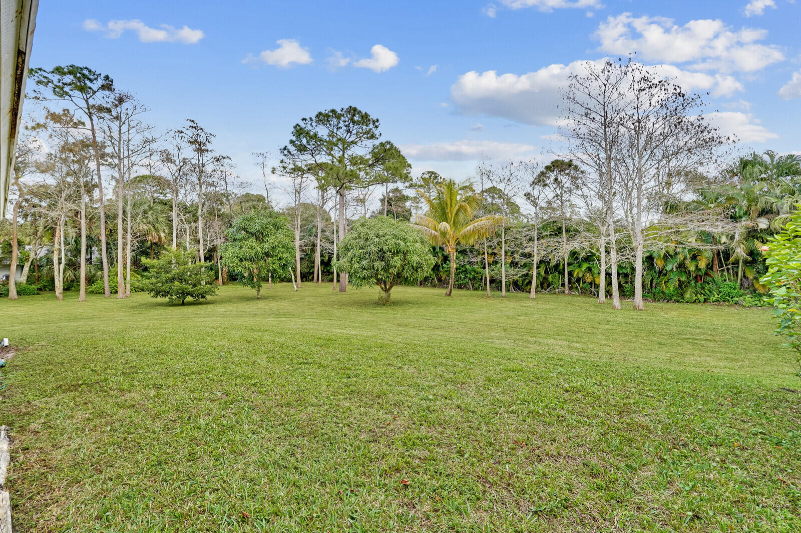 15728 81st Terrace N