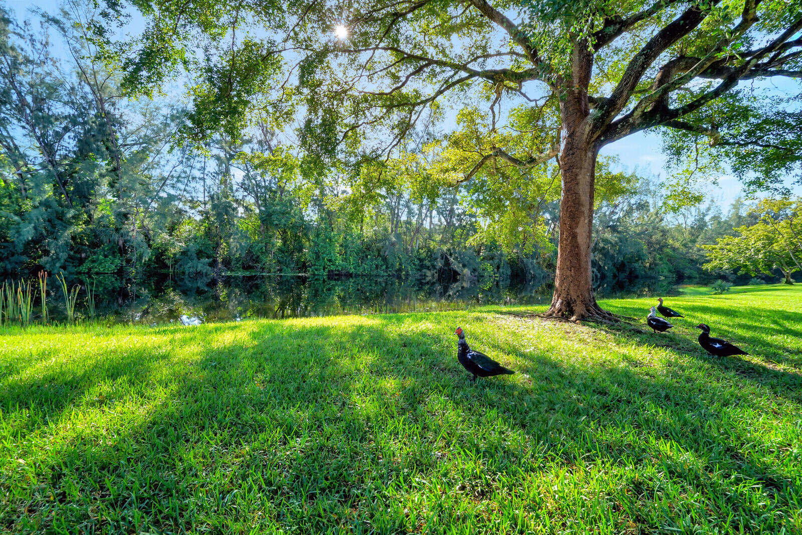 130 Lake Meryl Drive 226