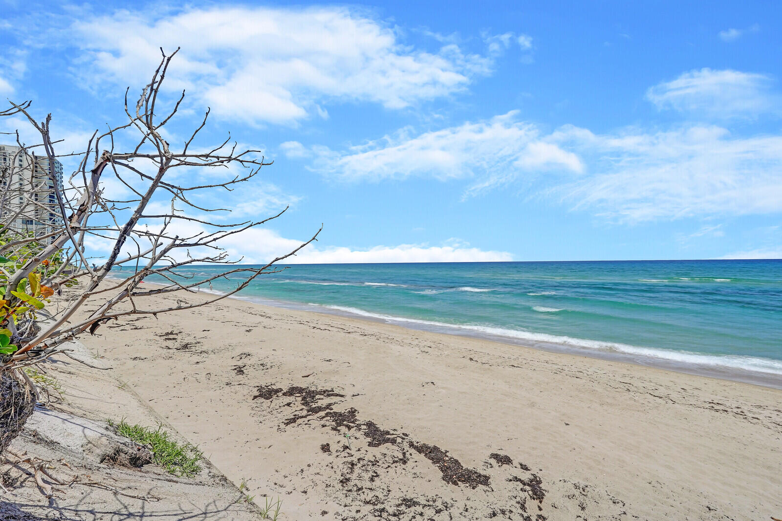 5380 N Ocean Drive 6e