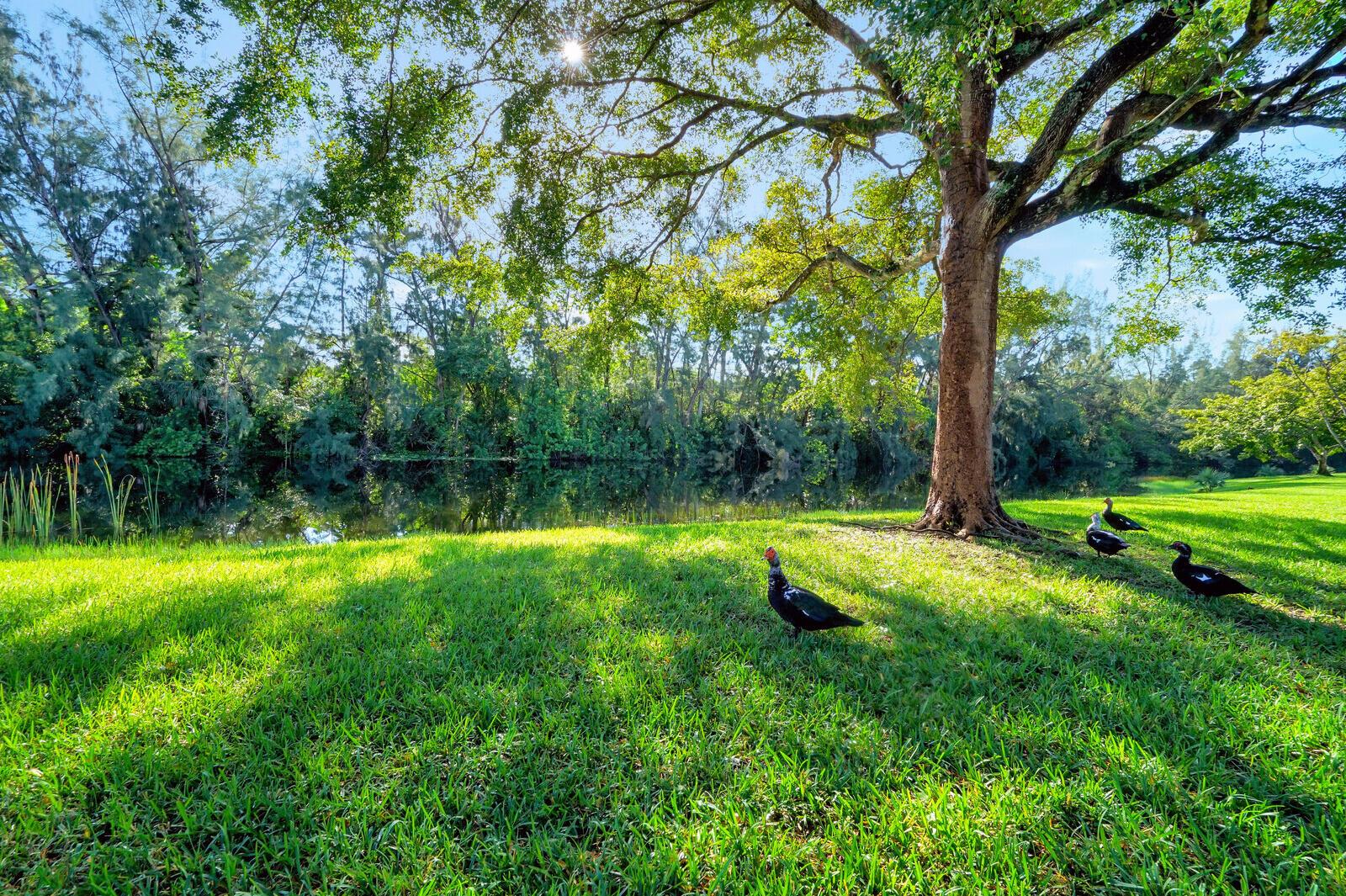 130 Lake Meryl Drive 226