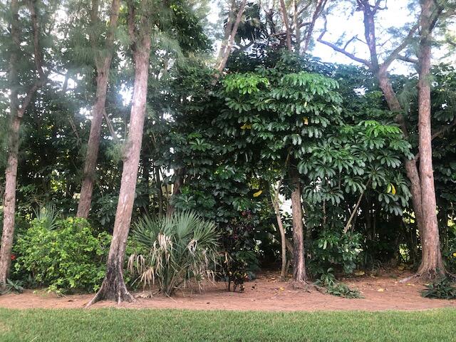 1262 N Sugar Sands Boulevard 127