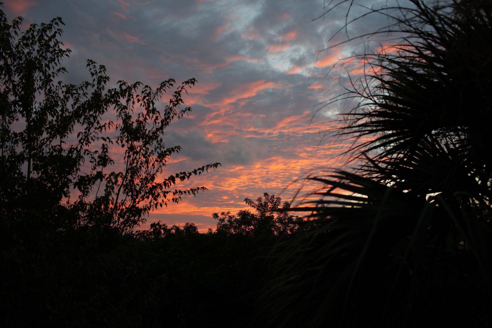 13170 SE Flamingo Drive