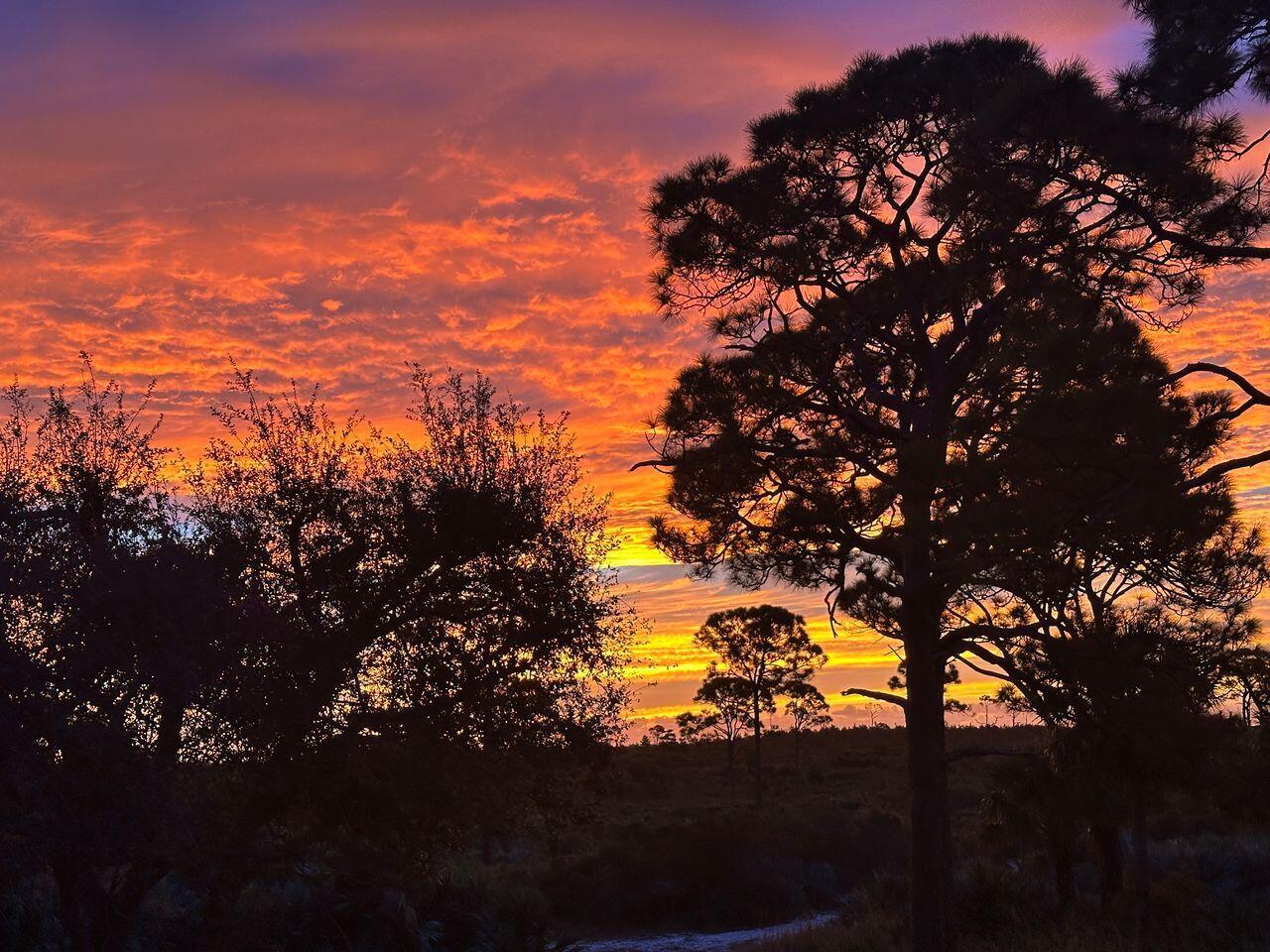 13170 SE Flamingo Drive