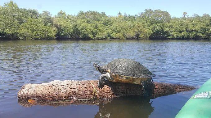 13170 SE Flamingo Drive