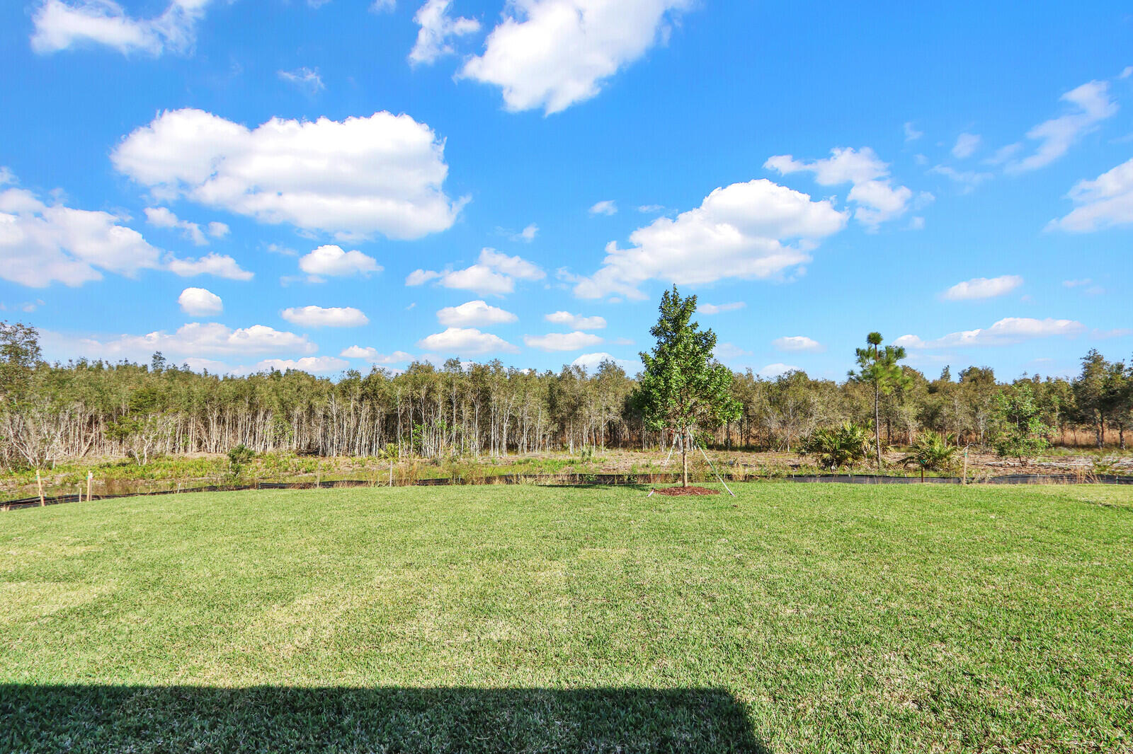 15693 SW Twilight Street