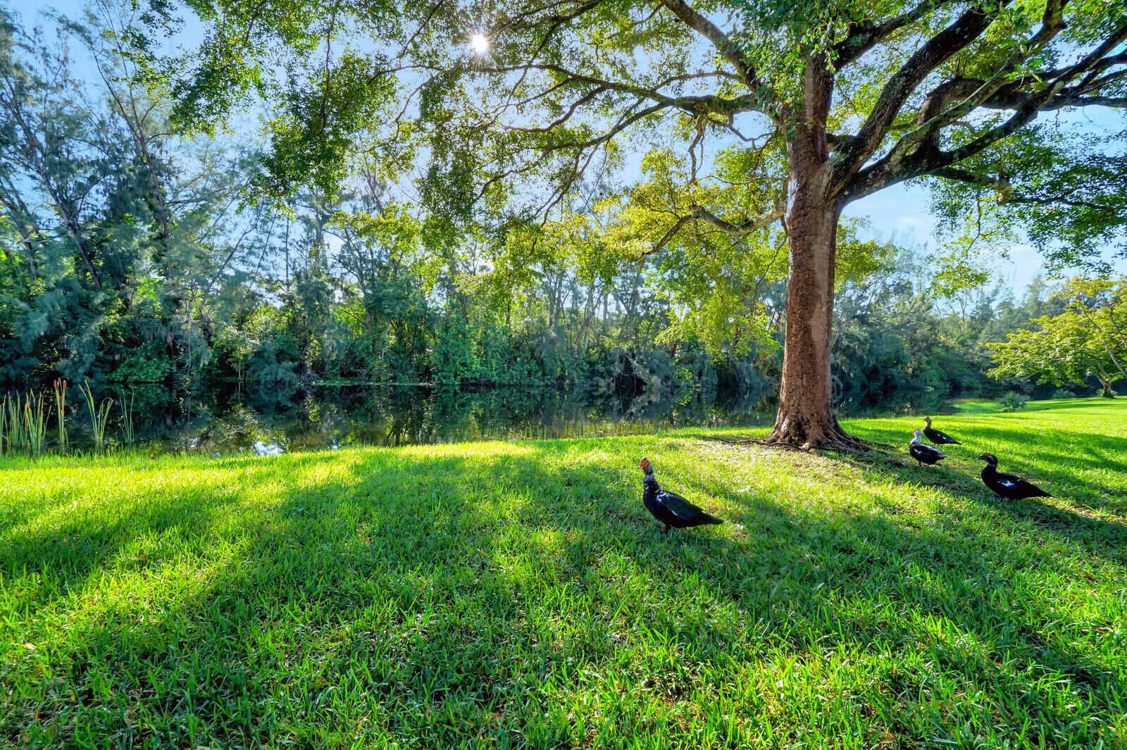 130 Lake Meryl Drive 226