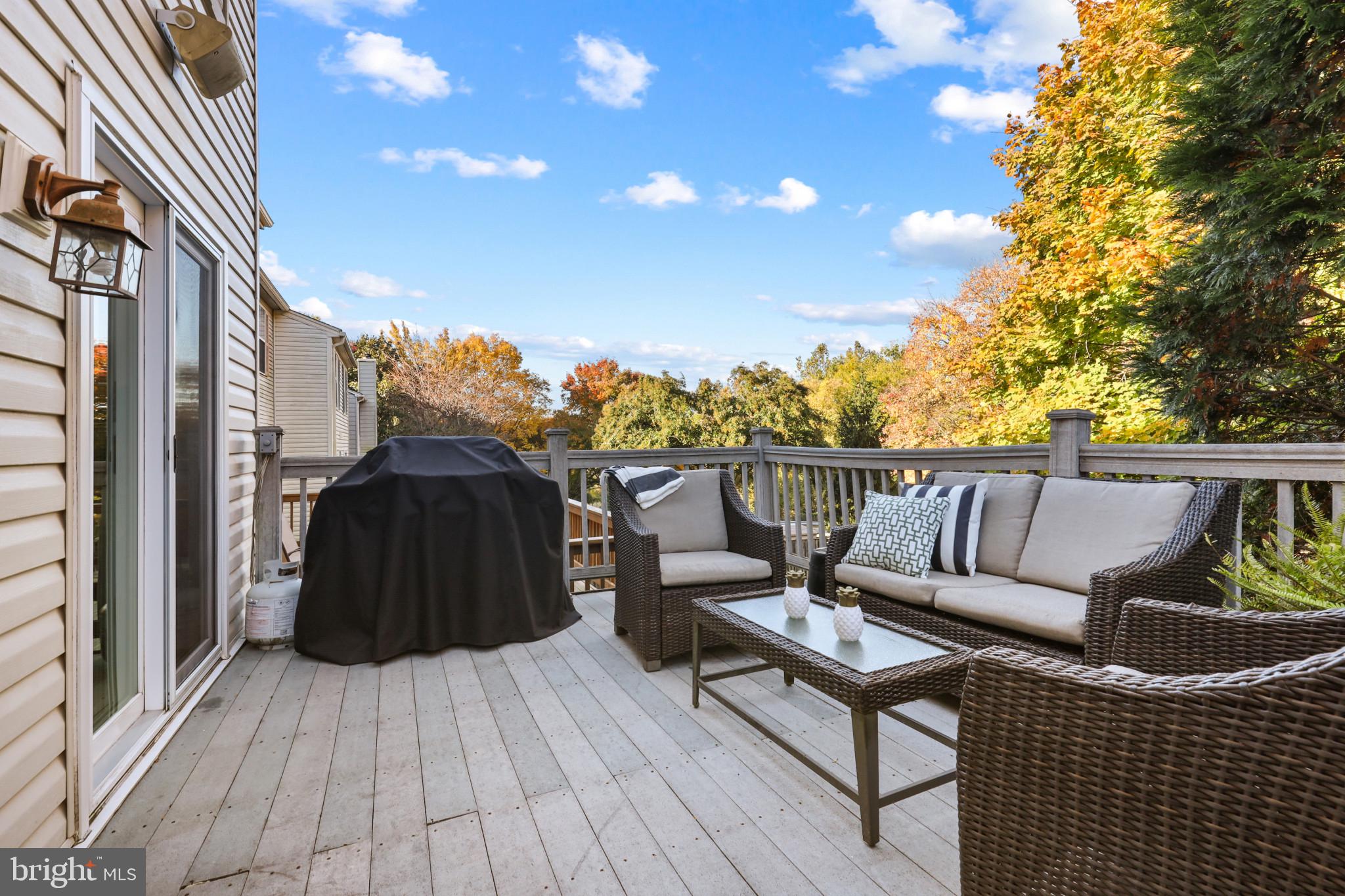 8612 Chelsea Bridge Way