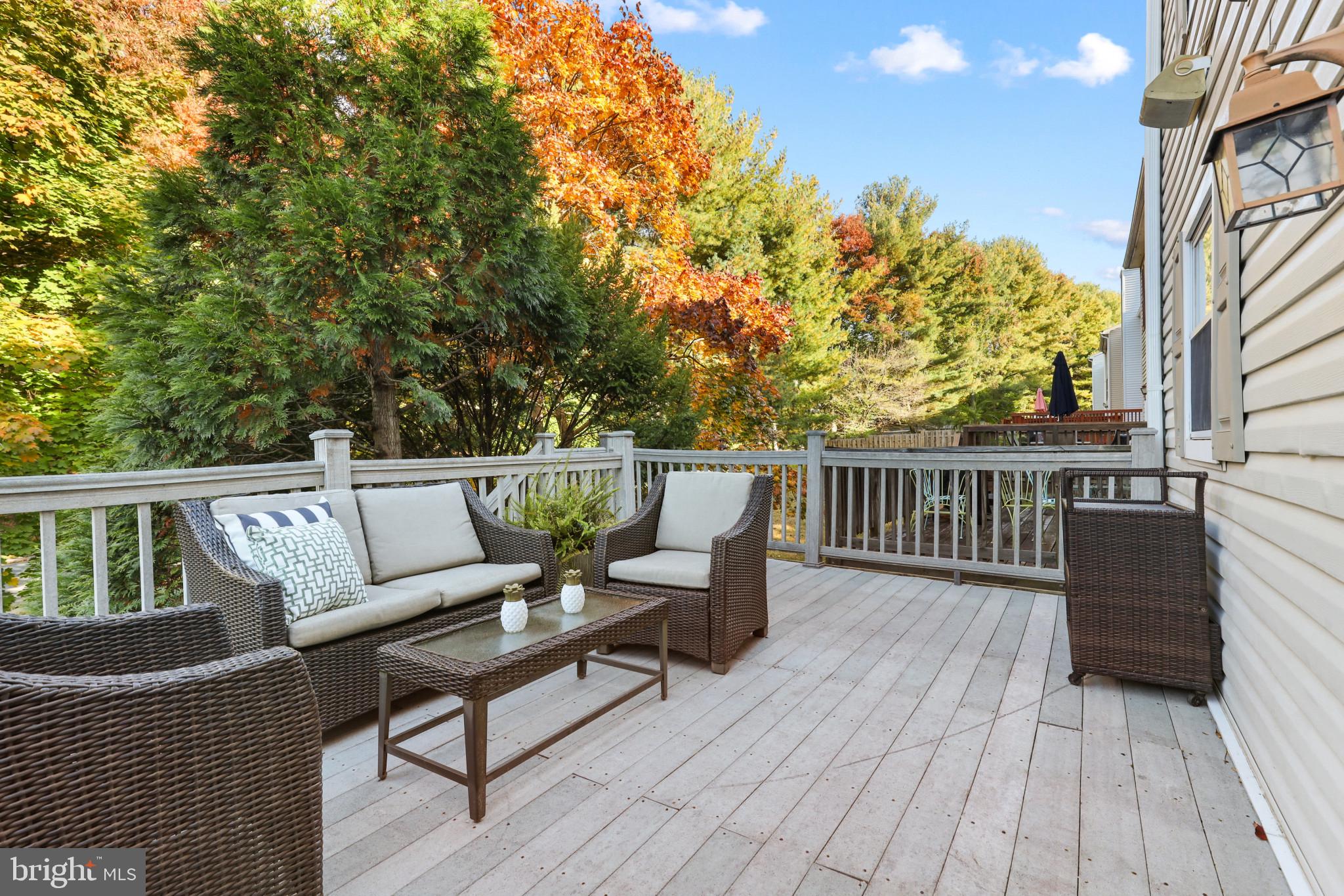 8612 Chelsea Bridge Way