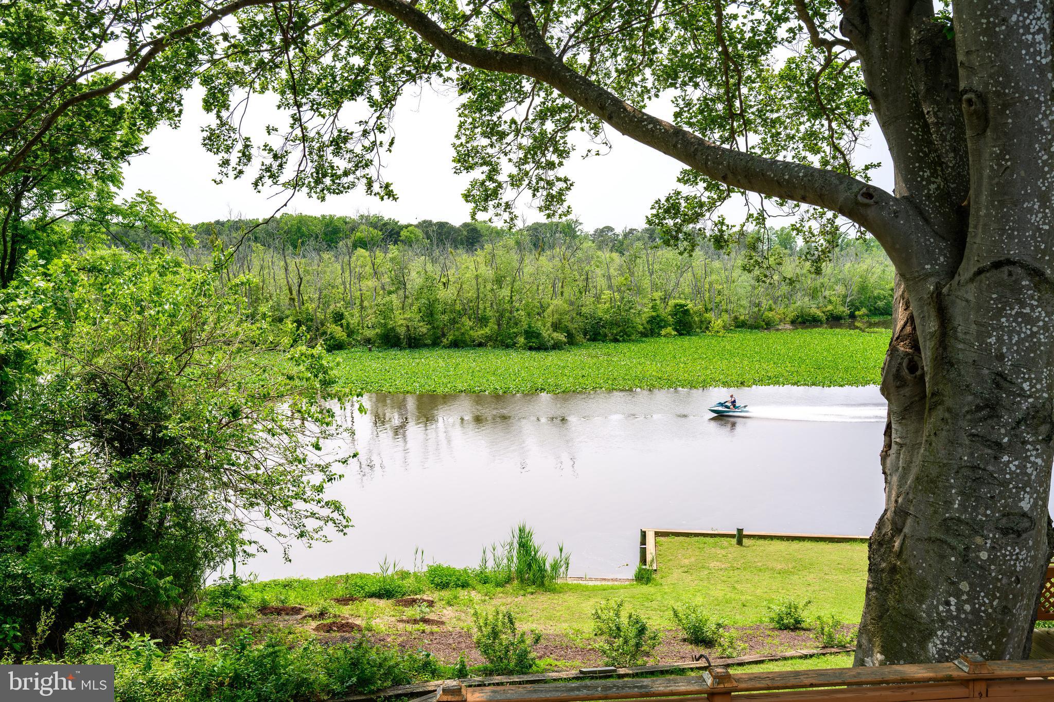 25292 Sandy Point Rd